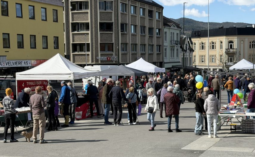 Vårmarked 5